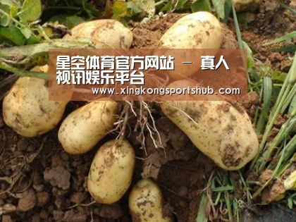种植基地六