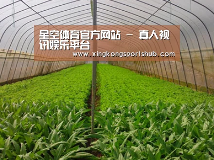 种植基地四