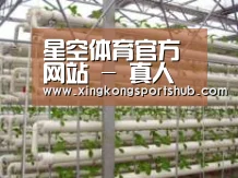环境展示六